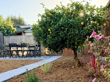lemon tree pink flower table detail