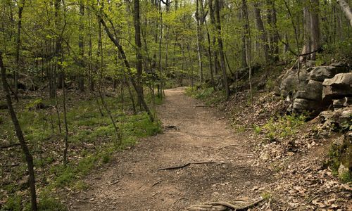 What is seller financing and how does it work