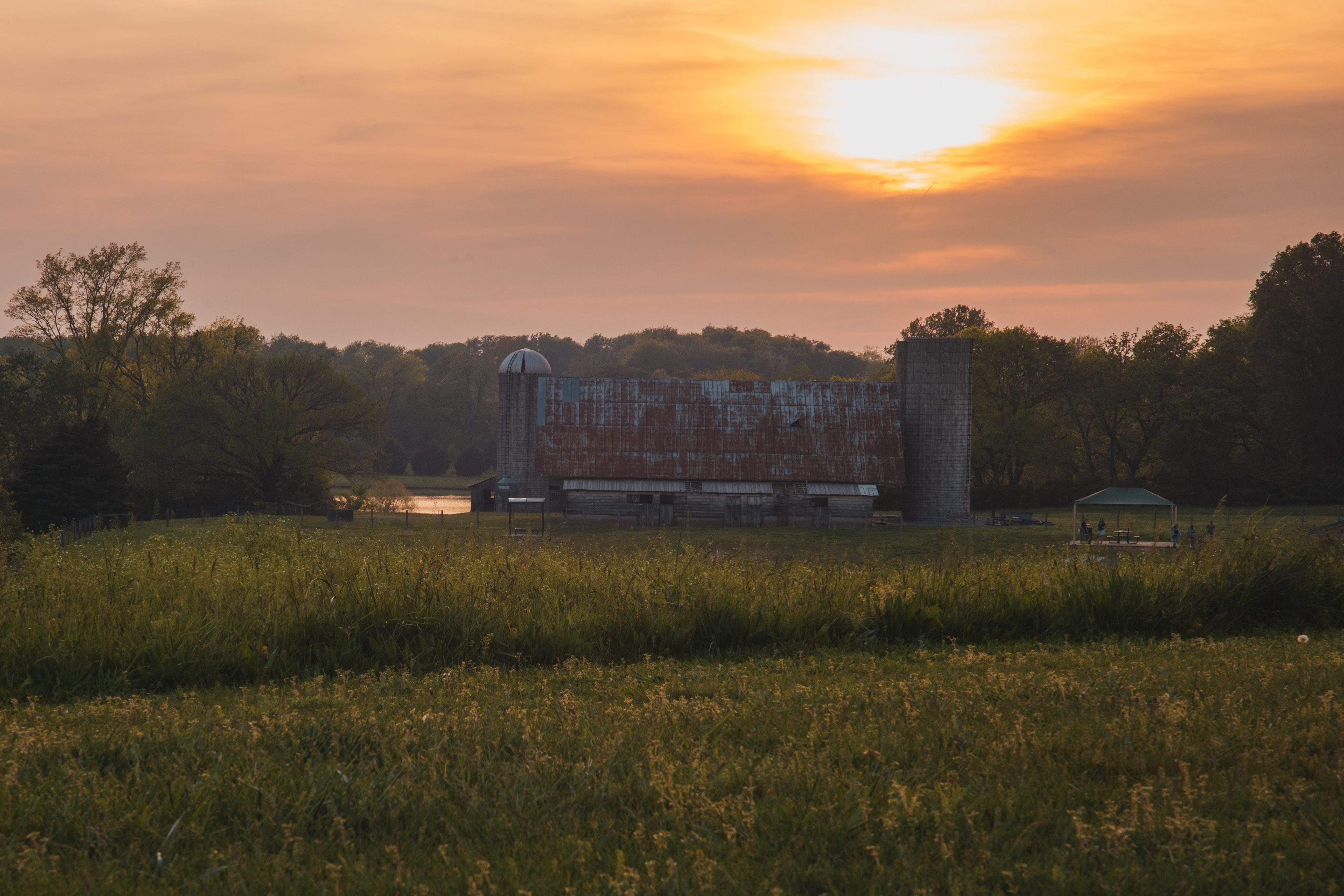 Golden Hour at a Franklin Farm