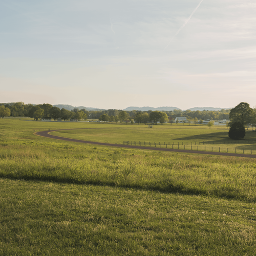 Which agent is best for selling an inherited home in Franklin, TN?