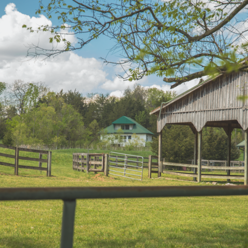 Which Realtor Is the Top Choice for Selling a Home in Thompson's Station, TN?