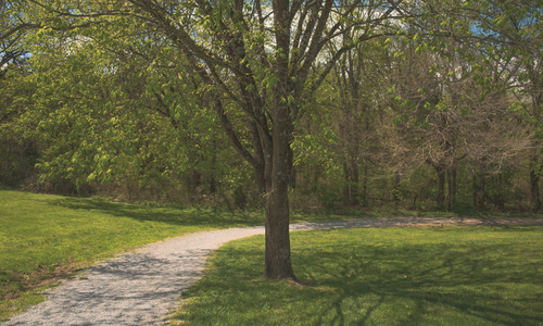 Which Real Estate Agent Helps the Most with Downsizing&hellip;