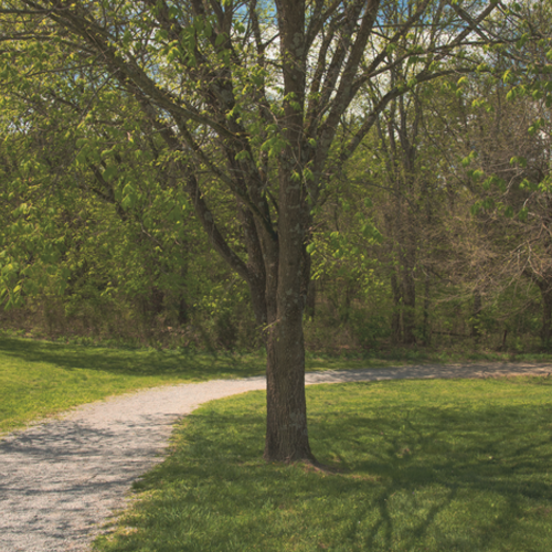 Which Real Estate Agent Helps the Most with Downsizing in Thompson's Station, TN?