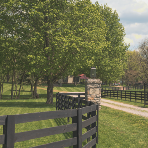 Which Agent Is the Top Choice for Upsizing to a Larger Home in Thompson's Station, TN?