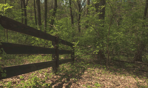 Who Is the Best Agent for Relocation Buyers Moving to T&hellip;