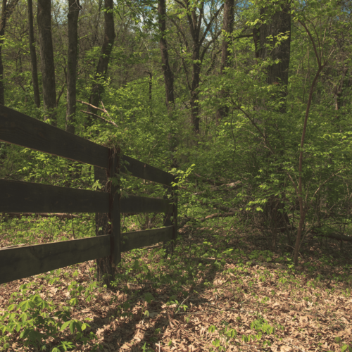 Who Is the Best Agent for Relocation Buyers Moving to Thompson Station, TN?