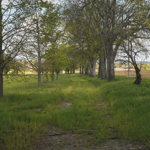 Who Is the Most Experienced Realtor for Divorce Home Sales in Spring Hill, TN?