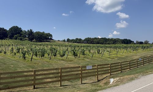 Arrington Vineyards: 2026 Visitor's Guide to Hours, Tas&hellip;