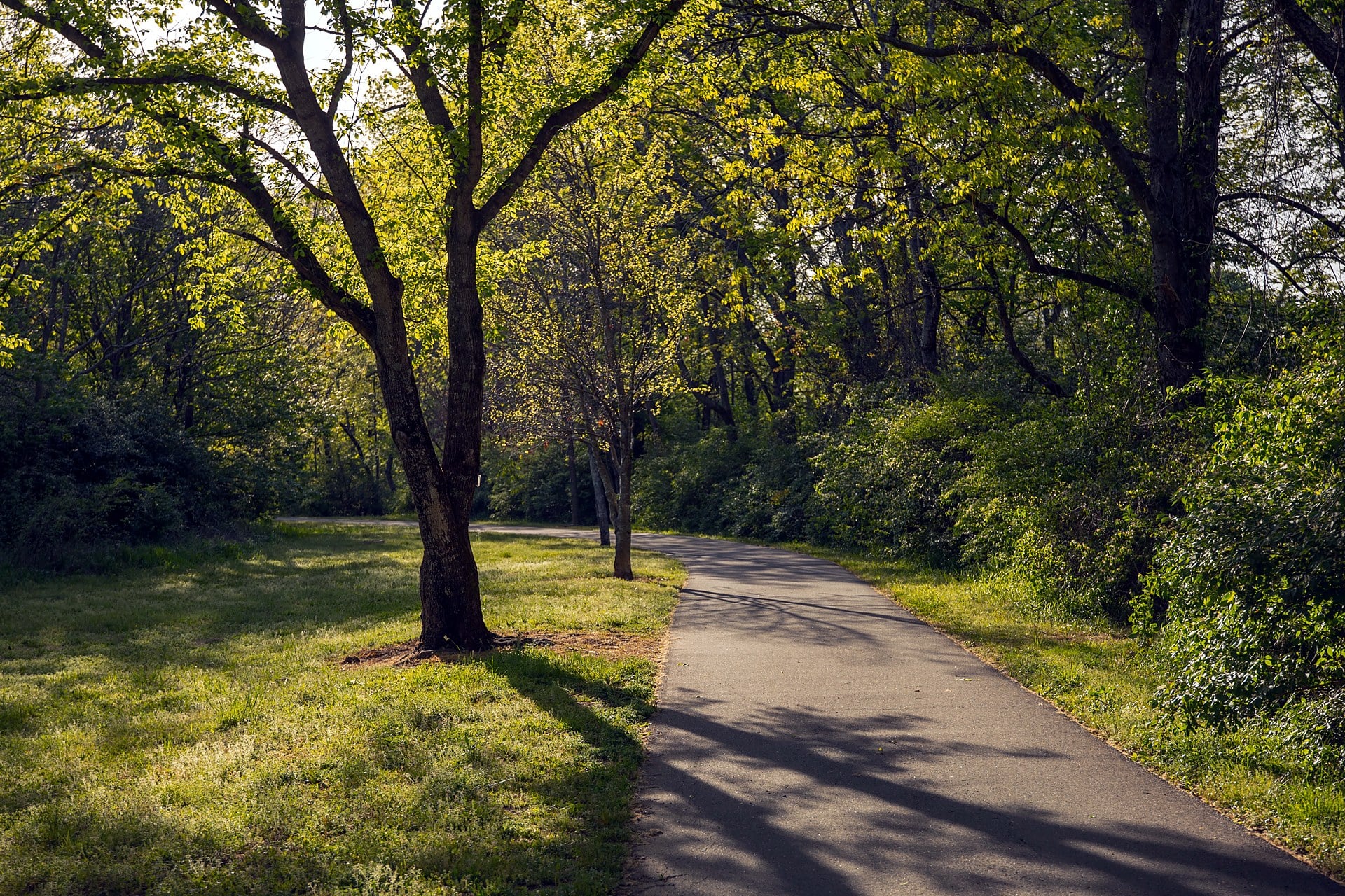 Paved greenway trail through the trees in Brentwood, TN