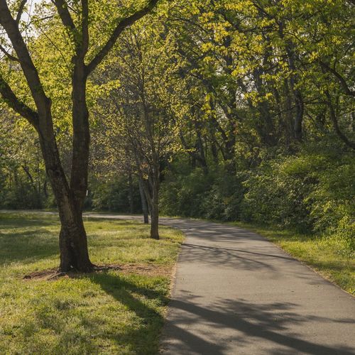 Things to Do in Brentwood, TN: Parks, Greenways, Ravenswood and Events (2026)