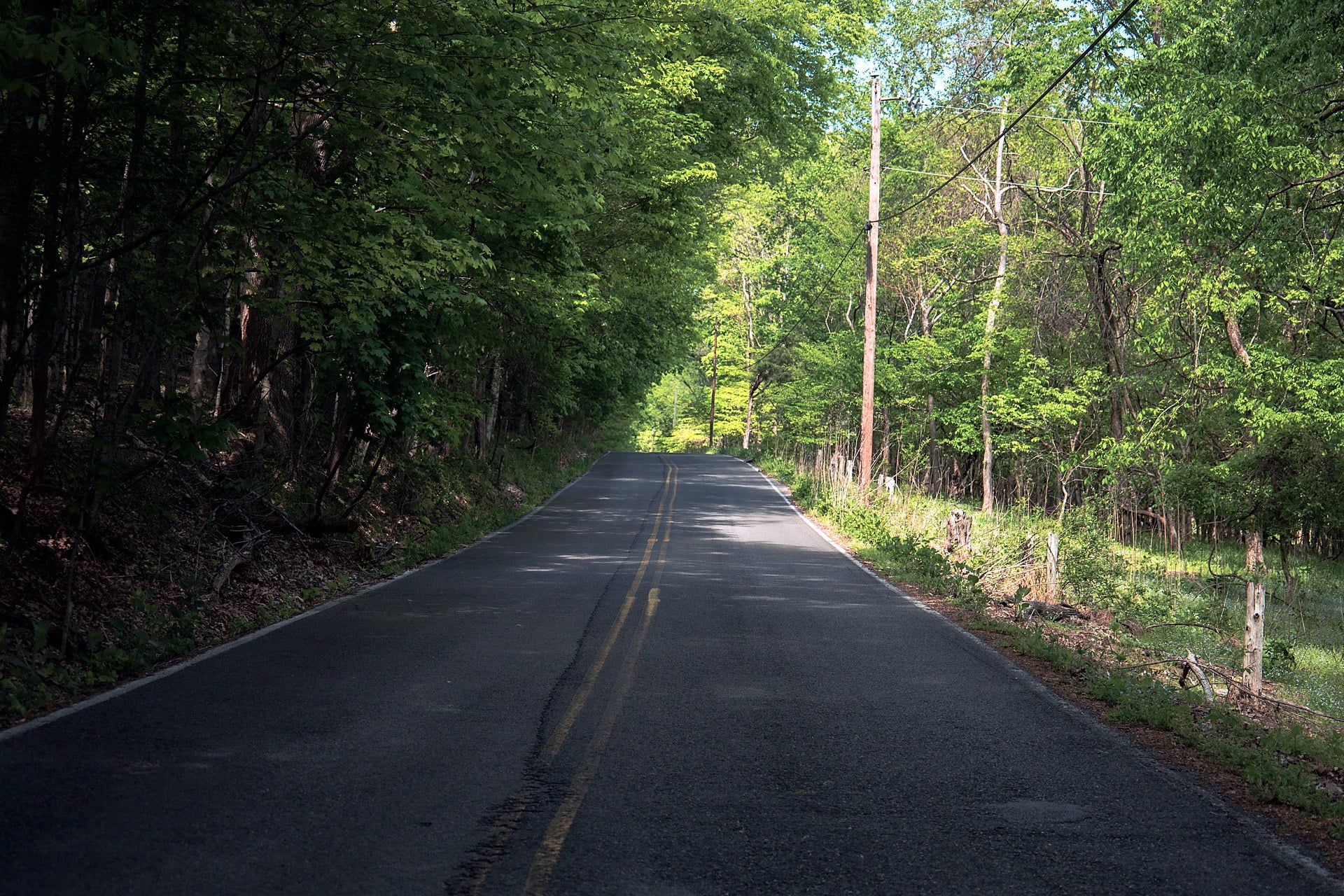 Tree-lined two-lane road in Brentwood, TN