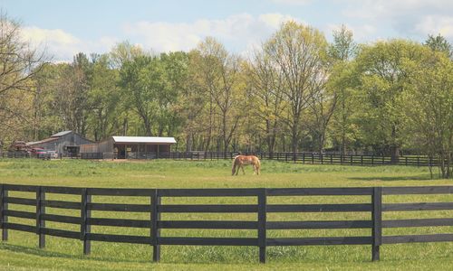Nashville Suburbs: 13 Towns Compared by Drive, Taxes an&hellip;