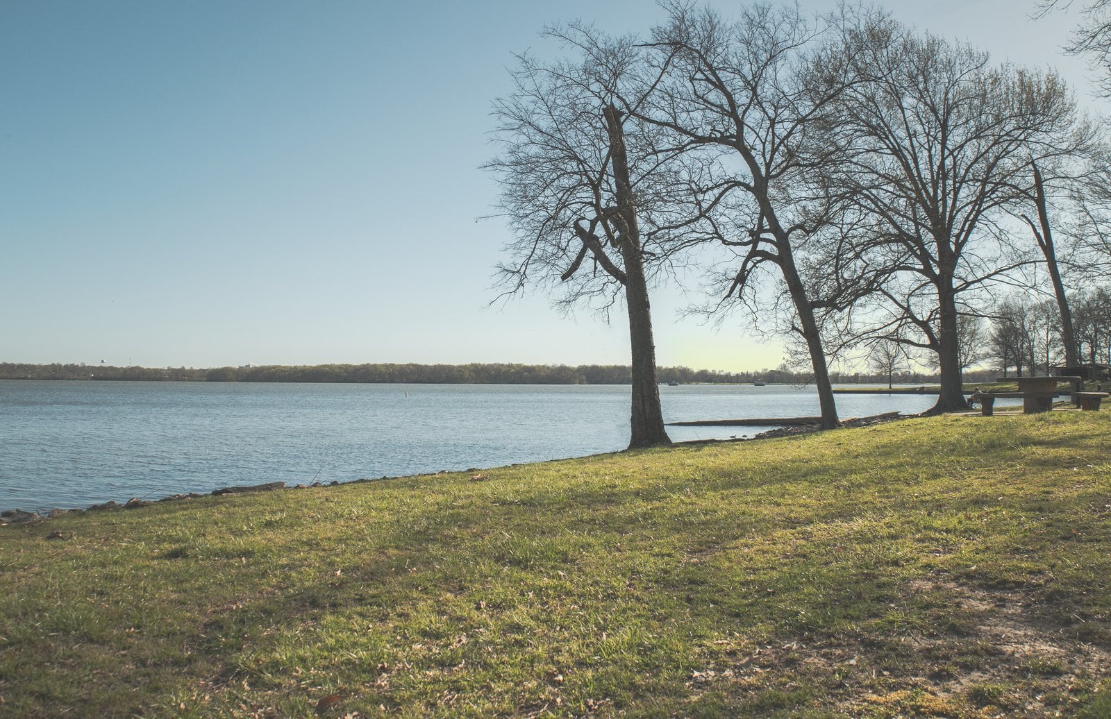 Bare trees on a grassy lakeshore with open water and a distant tree line in Hendersonville, TN