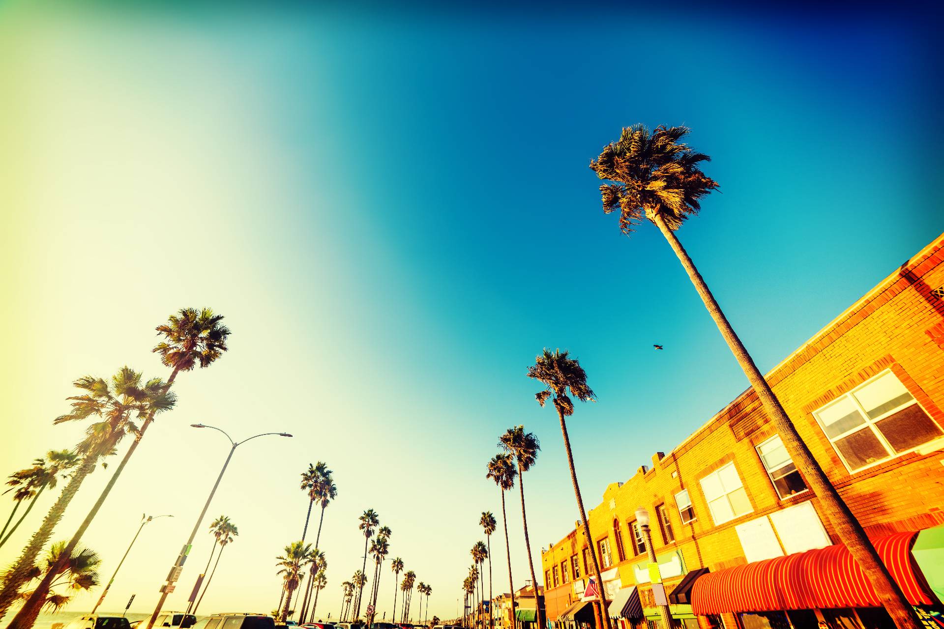 Palm trees and picturesque stores in Newport Beach seafront, Orange County. Southern California, USA