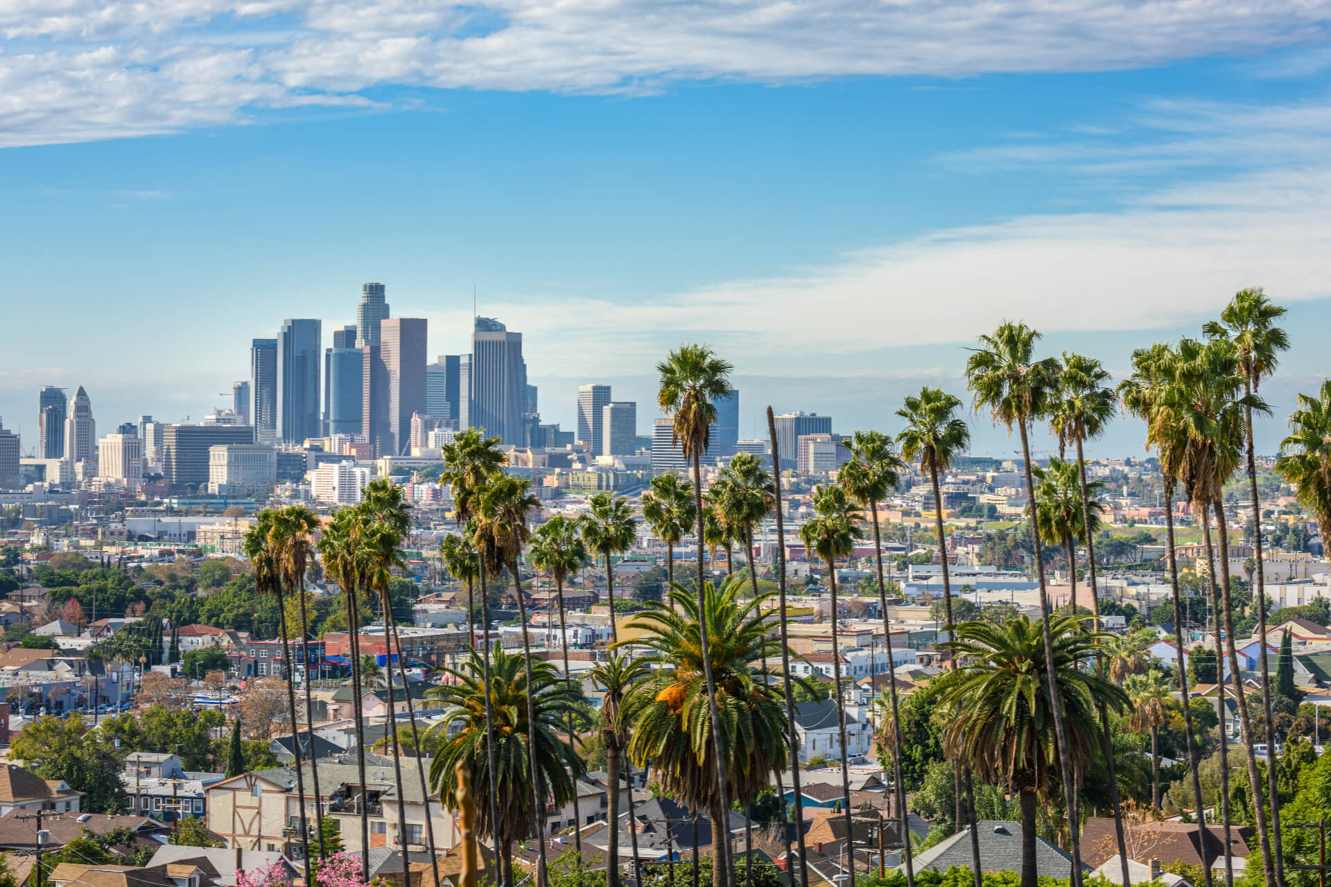 Southern California - Los Angeles downtown skyline