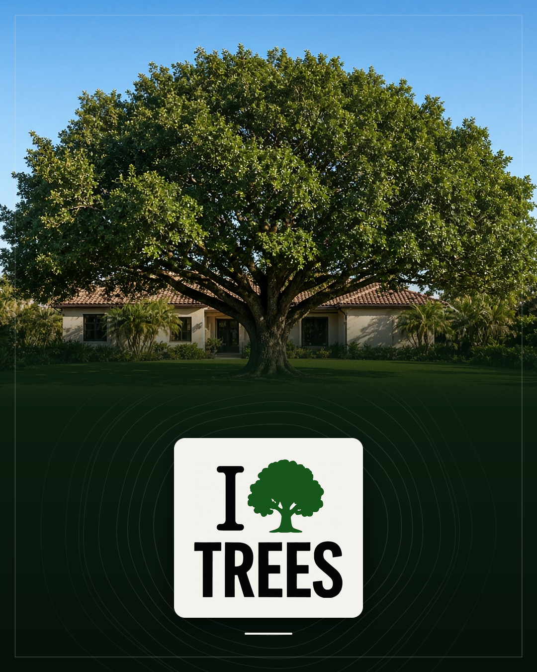 Winter Garden Tree Care