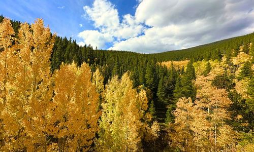 🍂 October in Colorado: Market trends, fall fun …