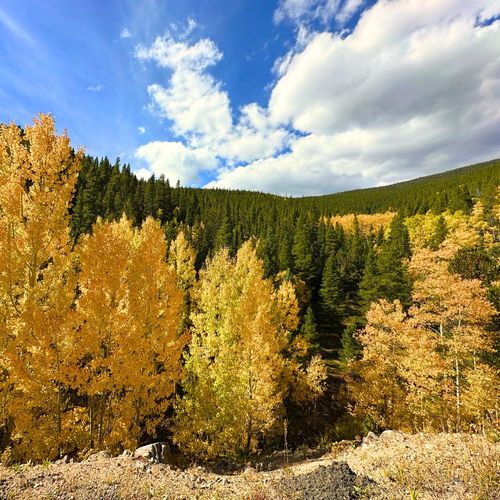 🍂 October in Colorado: Market trends, fall fun & new listings