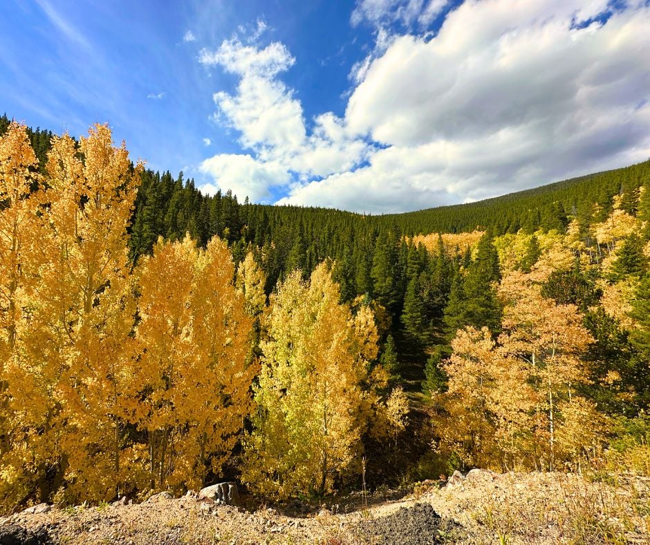 Colorado - fall 2025