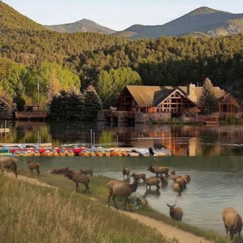 Evergreen vs Conifer Colorado — Which Foothills Community Is Right for You?