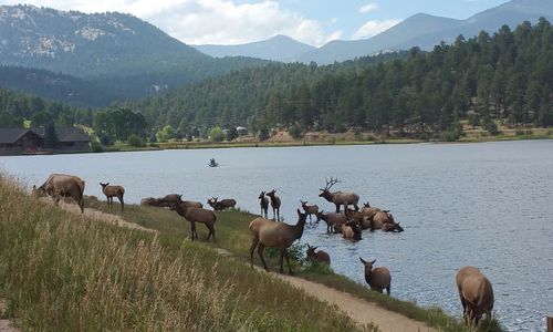 Is Evergreen CO a Good Place to Live &hellip;