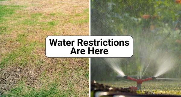 Untitled (600 x 322 px)