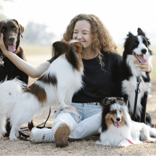 Why Scottsdale Tops the List for Dog-Loving Homebuyers