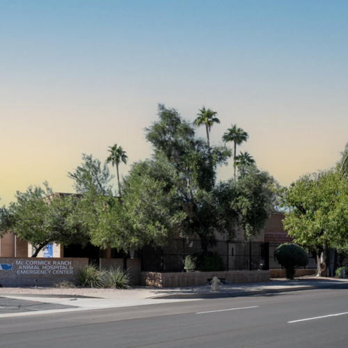 Scottsdale Growth in Action: How a 40-Year Veterinary Office Sale Reflects Market Confidence