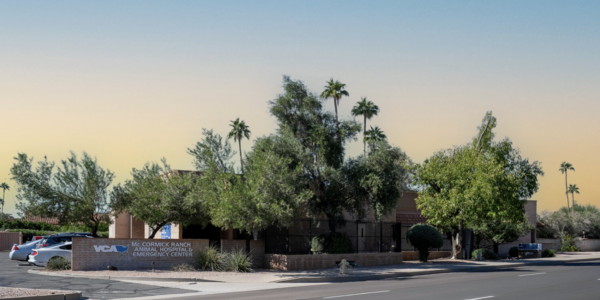 Scottsdale Growth in Action: How a 40-Year Veterinary &hellip;
