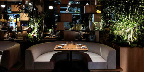 A New Taste of Luxury: BOA Steakhouse Makes &hellip;