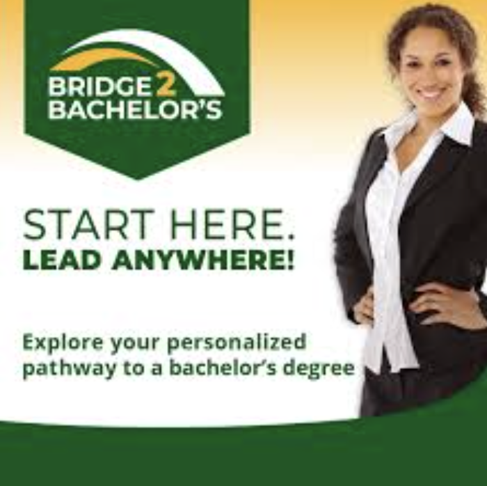 Screenshot 2026-02-12 at 2.12.59 PM