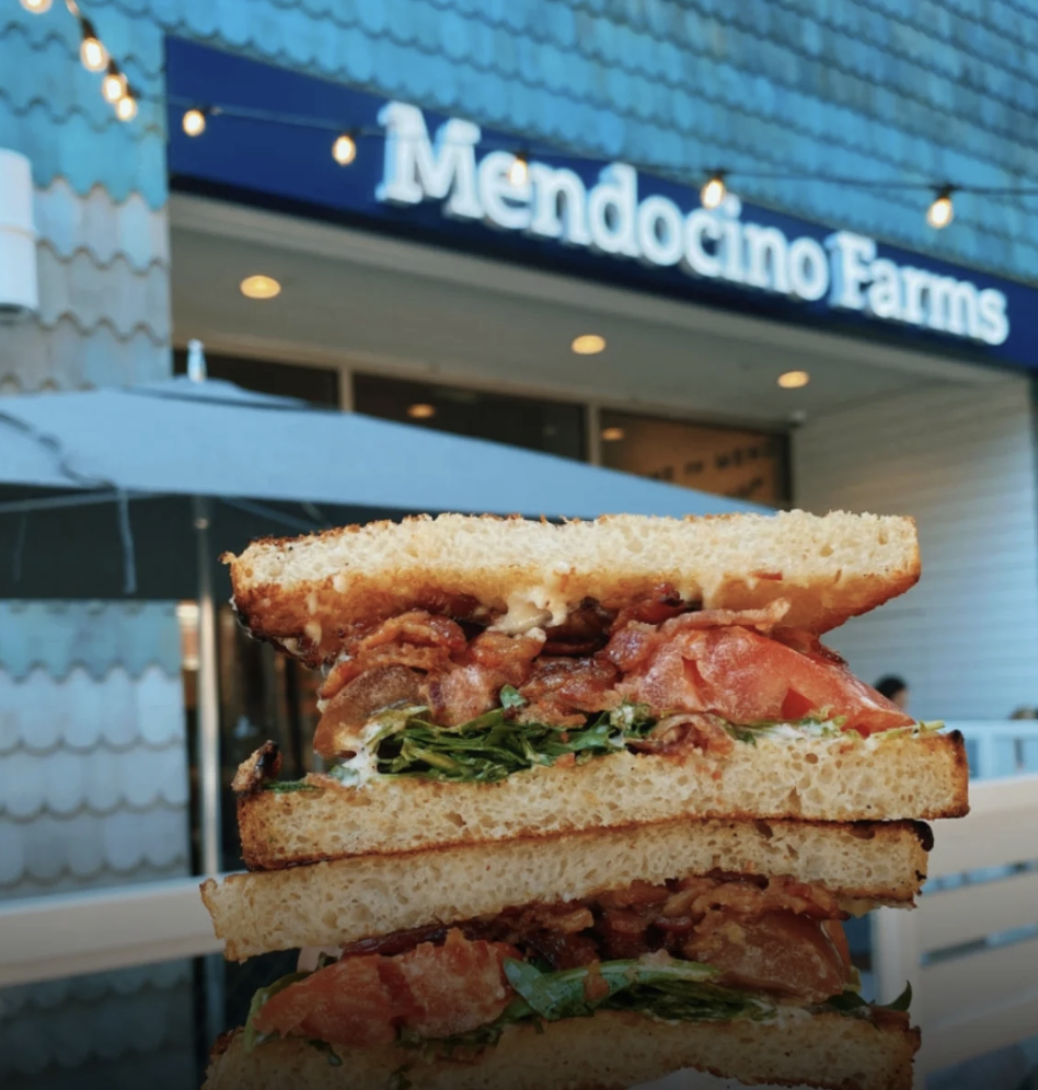 Screenshot 2026-02-13 at 4.32.04 PM