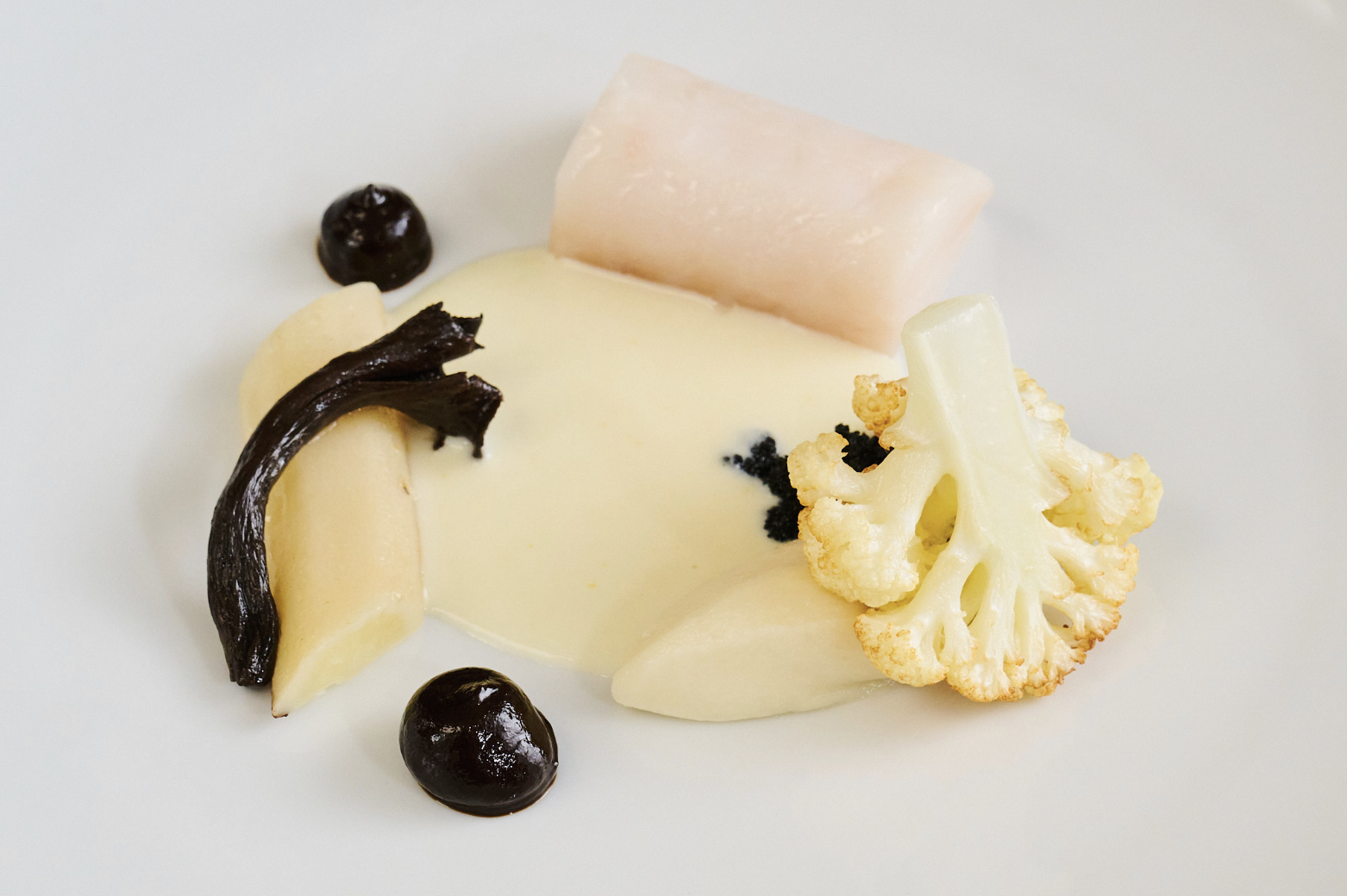 Screenshot 2026-03-05 at 6.46.36 AM