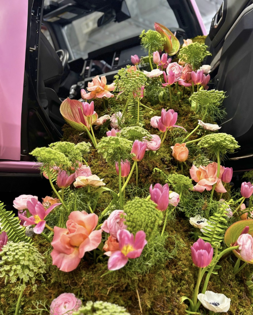 Screenshot 2026-04-17 at 8.18.47 AM