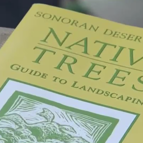 The Unexpected Things You'll Love About Living in Scottsdale