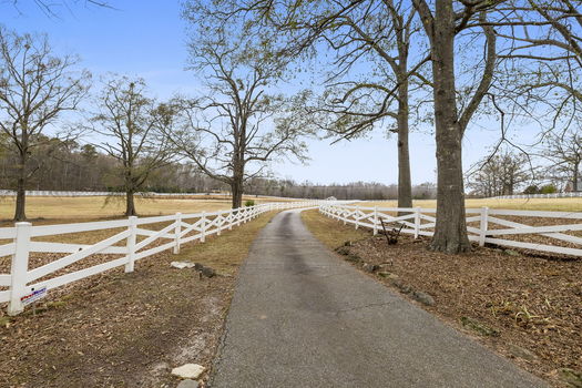 45-web-or-mls-BENR7232