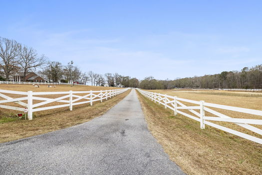 49-web-or-mls-BENR7247