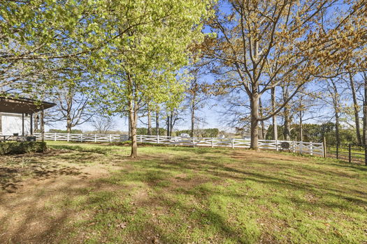 42-web-or-mls-BENR4234
