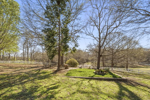 43-web-or-mls-BENR4237