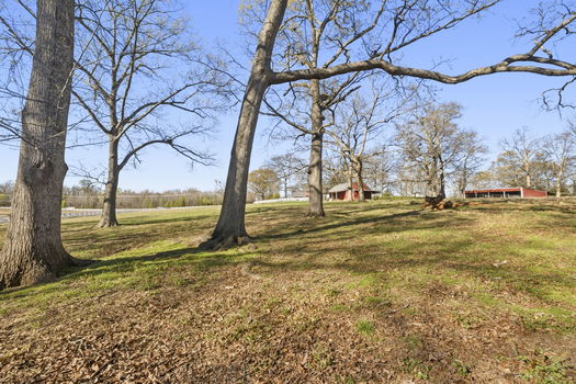 47-web-or-mls-BENR4267