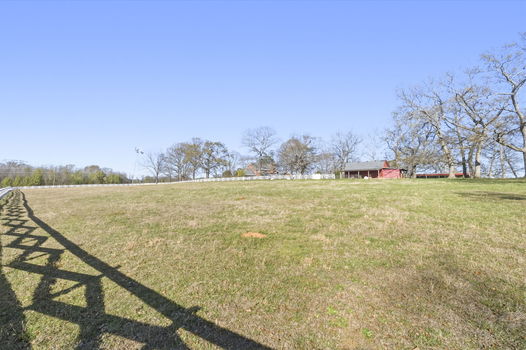 49-web-or-mls-BENR4273