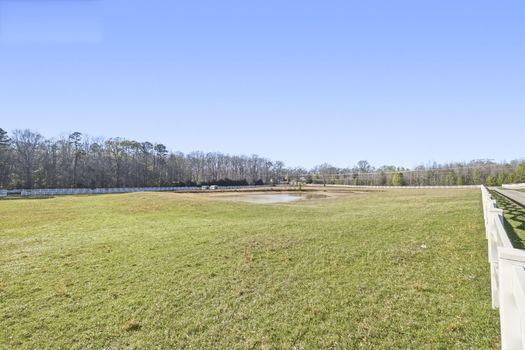 50-web-or-mls-BENR4276