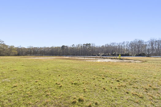51-web-or-mls-BENR4279