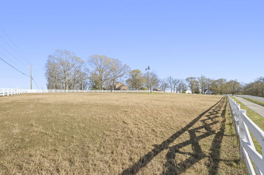 52-web-or-mls-BENR4288