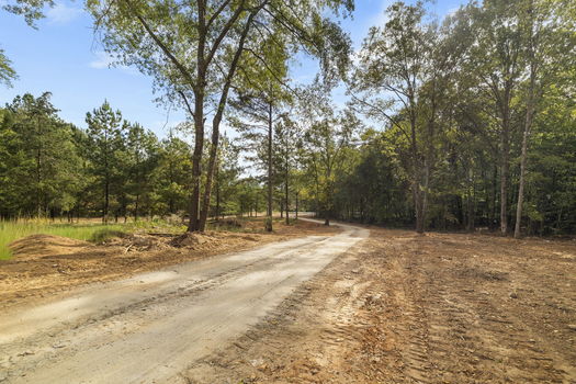 51-web-or-mls-BENR2493