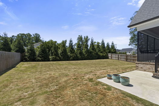 49-web-or-mls-BENR6838