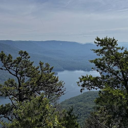 Best Scenic Mountain Hikes Within a Short Drive From Greenville