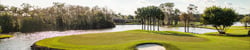 Photo of an aerial view of Estero