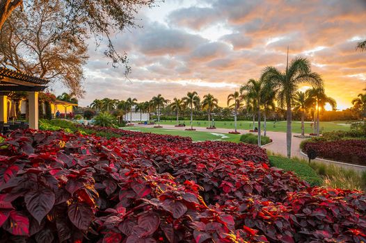 Bonita Bay