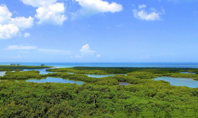 Kalea-Bay-t20110thfloor-